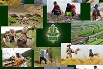 اقدام جدید بانک کشاورزی برای توسعه اشتغال