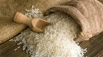 برداشت برنج آغاز شد/نرخ ۱۷ هزارتومانی برنج ایرانی منطقی نیست