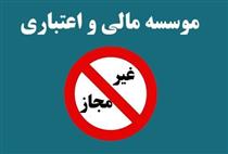 تهرانی‌ها، سپرده‌گذاران کلان موسسات مالی غیرمجاز