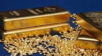 سقوط شدید قیمت طلا
