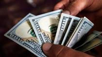 درخواست مجلس برای توقف تخصیص ارز دولتی