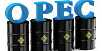 نفت اوپک هم در اثر حادثه دریای عمان نیم دلار گران شد