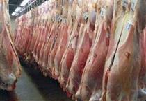  خودکفایی ۹۰ درصدی ایران در تولید گوشت قرمز