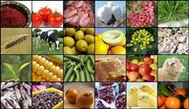 متوسط تغییرات قیمت کالاهای خوراکی در بهمن ۹۹
