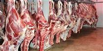 واسطه‌ها اجازه کاهش قیمت گوشت را نمی‌دهند