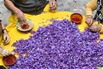 گشایش نماد گواهی سپرده زعفران پوشال یک انبار در بورس کالا
