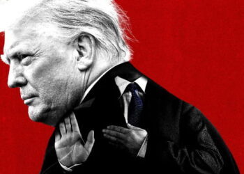 ظهور میم‌کوین‌های ترامپ