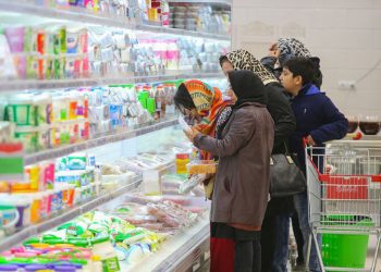 برابری در معرض خطر؛ رشد ضریب جینی پس از چهار سال