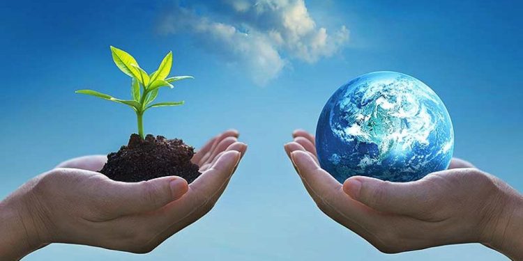 زیست‌بومِ سودآور؛ تولید سبز در منظر سیاست و سرمایه