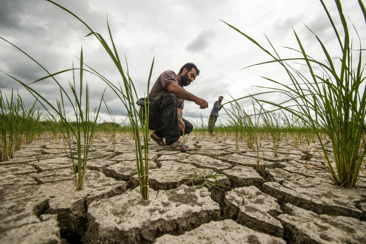ردپای بحران آب در سبد غذایی
