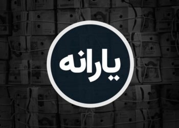 یارانه ها کجا گم شد؟ ؛ از سفره مردم تا جیب پتروشیمی‌ها